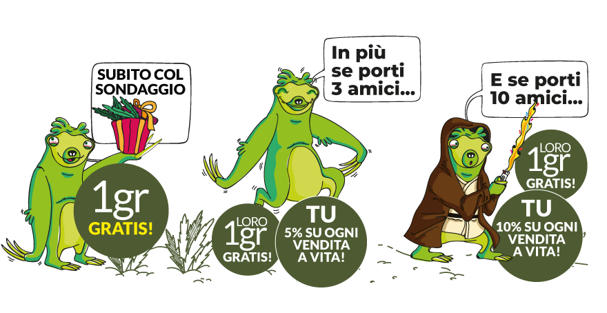 Gli effetti della cannabis light di Smikeweed